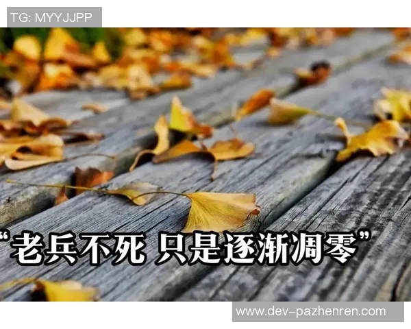 晋级战易建联似梦回当年老兵不死只是逐渐凋零